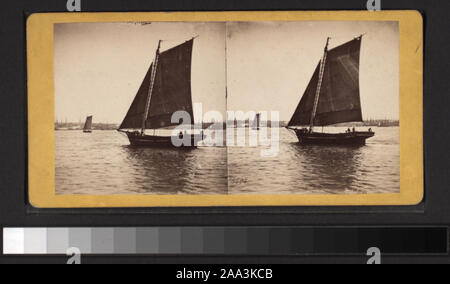 Mit einer Hand - farbige Anzeigen. Robert Dennis Sammlung von stereoskopische Ansichten. Einige Ansichten haben steuerstempel angebracht. Titel von Cataloger'. Blick auf den Hafen von New York: Fähren, Segelschiffe, Piers und Kaianlagen, Dampfschiffe, einschließlich der Vorsehung und mit Blick auf den Innenbereich, schwebenden Getreidesilos, Lastkähne, Werften, Männer aus dem französischen Mann-von-Krieg Landung in einem dory an der Batterie, die US Barge Office und den Versand news Büro des New York Herald, der Fuß der Whitehall Street, Soldaten auf einen italienischen Mann-von-Krieg mit Bajonetten, Fort Lafayette, Governors Island.; ein Feuerzeug aus der Batterie Stockfoto