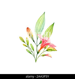 Aquarell Blumenstrauß mit transparenten Hibiskus Blumen und Blätter. Bunten tropischen Pflanzen isoliert auf Weiss. Botanische floral Illustration für Hochzeit Stockfoto