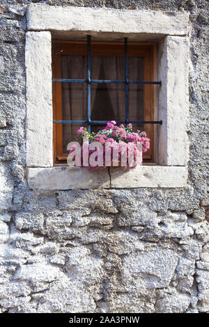 Blumen auf Stein Fenster Stockfoto