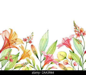 Nahtlose horizontale Grenze isoliert auf Weiss. Aquarell transparente Lilie mit Freesie, Hibiskus und Blätter. Tropischen botanischen floraler Abbildung Stockfoto