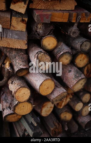 Protokolle der verschiedenen Arten von Holz für den Winter für die Heizung ein Dorf Haus geerntet. Stockfoto