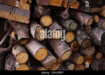 Protokolle der verschiedenen Arten von Holz geerntet für den Winter. Stockfoto