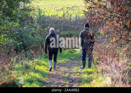 Menschen zu Fuß in den Wäldern in der Nähe des Flusses Lowther, Wal, Askham, Lake District Stockfoto