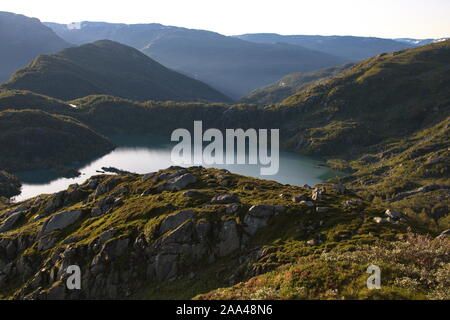 Nationalpark Folgefonna, Norwegen Stockfoto