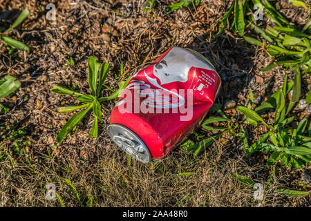 Eine Dose Cola mit Polar bear Grafiken zerkleinert und auf dem Boden closeup, neben der Autobahn auf einem hellen, sonnigen Tag im Herbst Stockfoto