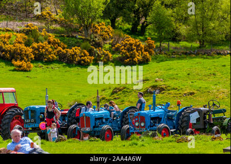 Traktoren am Dorf Vieh auf der Knapps Kilmacolm Schottland. Stockfoto