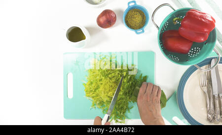 Römersalat auf einem Schneidebrett. Salat Vorbereitung. Frische organische Römersalat, Paprika, Zwiebel, gewürze, und Olivenöl Stockfoto