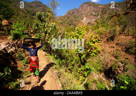 Der indischen Frau in der traditionellen Saris, Kundal Dorf auf Nandhour Tal, wo Corbett eine Nacht in der tiefe Schlucht auf der rechten Seite, Uttarakhand, Indien Stockfoto