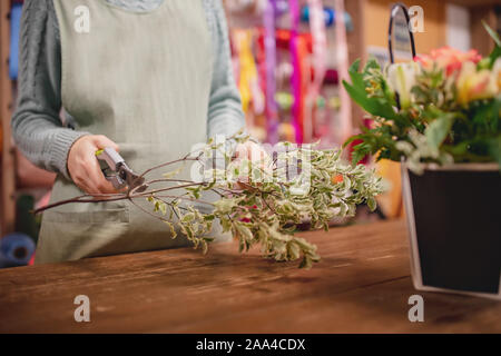 Florist Mädchen im Vorfeld sammelt Blumenstrauß aus Rosen Blumen in Geschenkbox, Schnitte Blätter mit Baum-, Reb- und Gartenscheren. Stockfoto