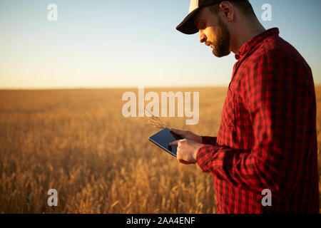 Smart Farming mit modernen Technologien in der Landwirtschaft. Mann Agronom Landwirt mit digitalen Tablet Computer im Weizenfeld mit Apps und Internet Stockfoto