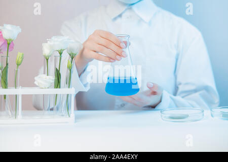 Wissenschaftler entwickelt Naturkosmetik aroma Öl aus Blumen zu extrahieren. Knospen, Blätter der Glaskolben. Biotechnologie Konzept. Stockfoto
