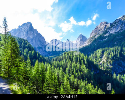 Ein üppiger, grüner Wald in einem Alpental. Es gibt einen dichten Wald auf der Vorderseite und einem sehr hohen Bergketten. Es gibt einen kleinen geschotterten Straße auf der Stockfoto