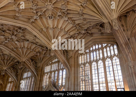 Decke mit lierne vaulting in Divinity School, mittelalterliche Gebäude und Zimmer in der Senkrecht Stil, Oxford, Oxfordshire, England, Großbritannien Stockfoto