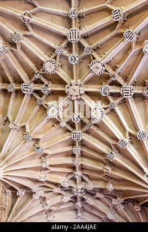 Decke mit lierne vaulting in Divinity School, mittelalterliche Gebäude und Zimmer in der Senkrecht Stil, Oxford, Oxfordshire, England, Großbritannien Stockfoto