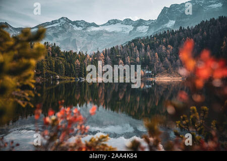 Hütte im Wald von reedsee in den österreichischen Alpen, Bad Gastein, Salzburg, Österreich Stockfoto