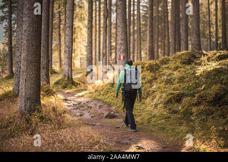 Frau wandern in einem Herbst Wald, Bad Gastein, Salzburg, Österreich Stockfoto