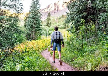 Mann Rucksack zu Fuß auf den Weg zu Ice Lake in Silverton, Colorado im August 2019 Sommer morgen grüne Tal und Bell flower Pflanzen Stockfoto