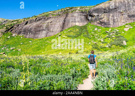 Delphinium nuttallianum larkspur Blumen und Menschen zu Fuß auf wiese feld Trail zu Ice Lake in der Nähe von Silverton, Colorado im August 2019 Sommer Stockfoto