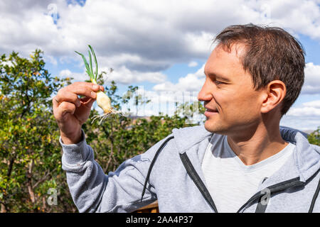 Glücklicher mann Bauer Holding an grüne Zwiebel suchen Sprout mit kleinen Wurzeln für die Anpflanzung im Garten im Hinterhof Stockfoto