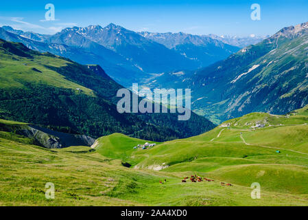 Blick auf eine Weide mit Kühen und schöne Alpental im Nationalpark Vanoise, Französischen Alpen. Stockfoto