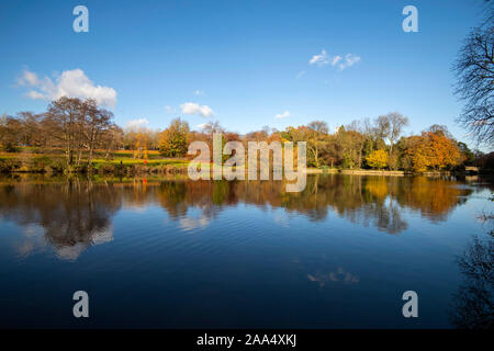 Herbstnachmittag Reflexionen an Highfields University Park, Nottingham England Großbritannien Stockfoto