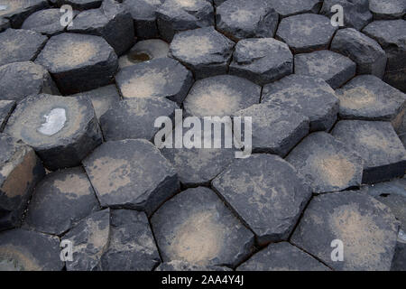 Basaltsäulen am Giants Causeway, Nordirland, Großbritannien. Stockfoto