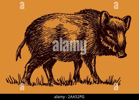 Männliche Wildschwein (Sus scrofa) in der Seitenansicht auf einem orange-braunem Hintergrund. Editierbare Layer Stock Vektor