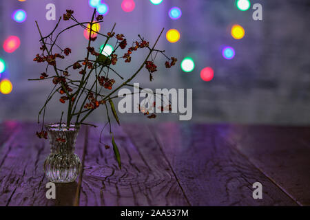 Ein trockener Zweig in einem Glas Vase auf dem Tisch Stockfoto