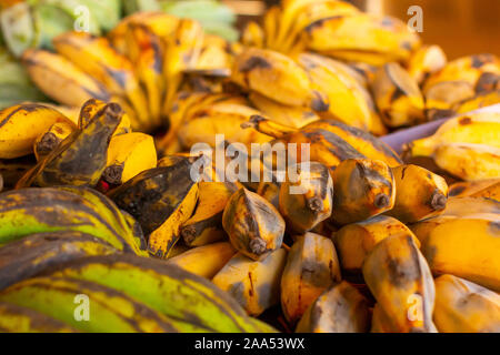 Verschiedene Typen und Arten von Bananen. Rote, gelbe, grüne Bananen in den asiatischen Supermarkt. Stockfoto