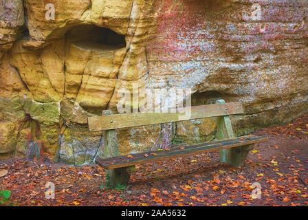 Cap Rot mit Gummilaufband Fomitopsis pinicola Halterung selektiven Fokus, wächst an toten Nadelbaum Baumstamm, Jahresringe,, fallen Jahreszeit Herbst, Ansicht von oben Braun Stockfoto