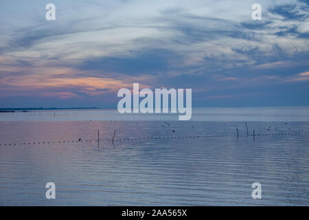 Landschaft von camargues im Süden von Frankreich. Ornithologische Naturschutzgebiet Stockfoto