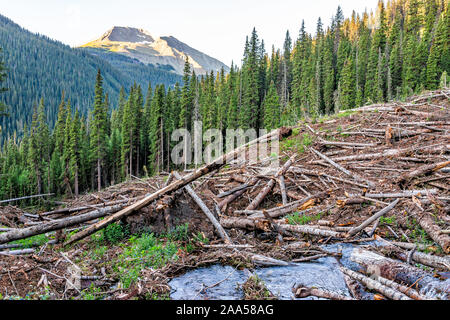 Hohe Betrachtungswinkel auf dem Weg zu Ice Lake in der Nähe von Silverton, Colorado im August 2019 Sommer morgen mit Lawine Ablagerungen Protokolle über River pool Wasser Stockfoto