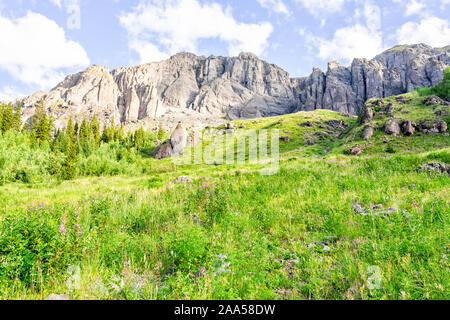 Blick auf die grüne alpine Rocky Wiese mit Felsen und Wildblumen auf dem Weg zu Ice Lake in der Nähe von Silverton, Colorado auf dem Gipfel im August 2019 Sommer Stockfoto