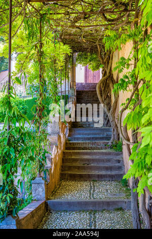 Malerischen Treppen in der Generalife Palast in Granada, Andalusien, Spanien. Stockfoto