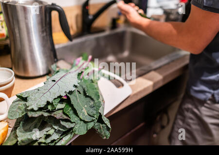Stapel der gewaschen nasse Grün Rot kale Blätter auf den Küchentisch mit man Waschen von Gemüse über dem Waschbecken für gesunde Mahlzeit kochen Vorbereitung Stockfoto
