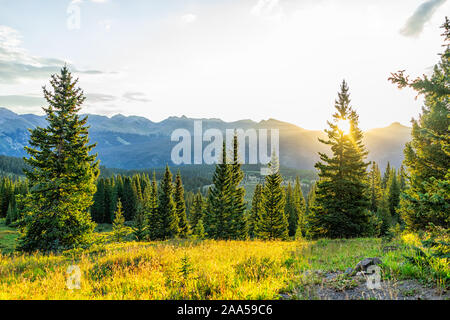 Sunrise Sonnenlicht sunburst durch Baum in den San Juan Mountains in Silverton, Colorado im Jahr 2019 Sommer morgen mit Wald landschaft anzeigen Stockfoto