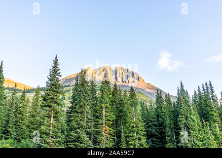 Landschaft Low Angle View of Pine Tree Forest in San Juan Berge in Silverton, Colorado im Jahr 2019 Sommer Morgens mit Sonnenaufgang auf Rocky Mountain Peak ein Stockfoto