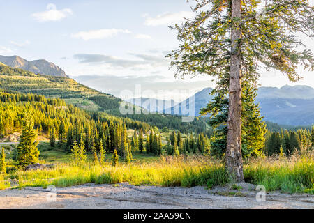 Landschaft sonnenaufgang Blick auf San Juan Mountains in Silverton, Colorado im Jahr 2019 Sommer morgen mit Wiese Tal und Fichte Stockfoto