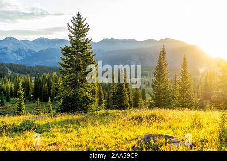 Sunrise Sonnenlicht Landschaft Blick auf San Juan Mountains in Silverton, Colorado im Jahr 2019 Sommer morgen mit Wiese und Bäumen Fichtenwald Stockfoto