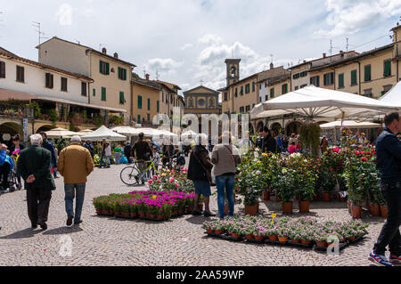 Markt Tag, Greve in Chianti, Toskana, Italien Stockfoto