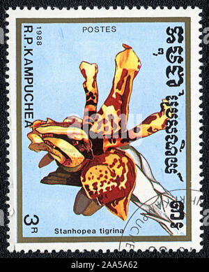 Der Stempel gedruckt in Kampuchea zeigt die Blume orchidee Stanhopea Tigrina, 1988 Stockfoto