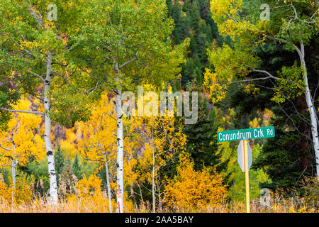 Aspen, Colorado Rocky Mountains Laub im Herbst auf Castle Creek malerische Straße mit Zeichen für Conondrum Creek und farbenfrohe gelbe Blätter auf amerikanischen asp Stockfoto