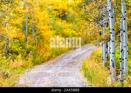 Colorado Rocky Mountains Laub im Herbst auf Bäumen auf kleinen Schmutz weg von Castle Creek malerische Straße mit bunten gelb orange Blätter Stockfoto