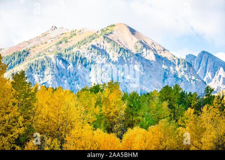 Castle Creek Road Blick auf Grün Orange Gelb Laub Aspen in Colorado Rocky Mountains Herbst peak Stockfoto