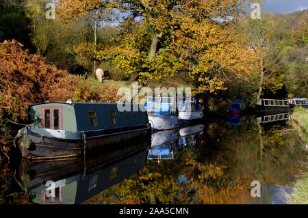 Schmale Yacht und Boote auf der oberen Caldon canal mit herbstlichen Hintergrund in Staffordshire günstig Stockfoto