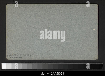 Robert Dennis Sammlung von stereoskopische Ansichten. Blick auf Au Sable Abgrund, Birmingham und Horseshoe Falls, einschließlich Winter;Ansichten von Felsen, Brücken, Treppen, Boote, und Touristen, und Blick auf Keeseville, einschließlich Brücken und Straßen. Enthält zwei handkolorierte Ansichten. Blick von G. W. Baldwin, R. M. McIntosh, H. S. Tousley und andere Fotografen und Verlage.; Ausable Kluft. In der Bootsfahrt. Stockfoto