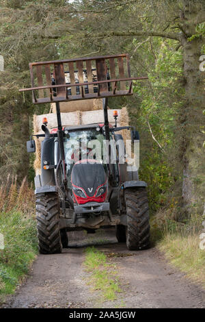 Ein Bauer mit einem Traktor und Anhänger voll Stroh ballen macht sich auf den Weg durch die Bäume einen Feldweg Stockfoto