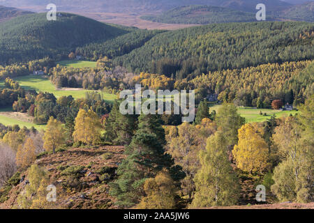 Ein Blick über Balmoral Immobilien im Herbst mit Prinz Albert von Cairn Umgeben von Wald sichtbar an der Oberkante des Bildes Stockfoto