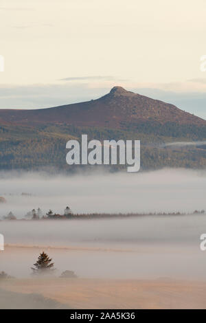 Ein Blick über Misty Ackerland in Richtung Bennachie auf einem herbstlichen Morgen in Aberdeenshire Stockfoto