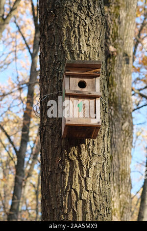 Am Stamm des großen Baumes hängt eine hölzerne birdhouse. Vogelhaus auf dem Hintergrund der blauen Himmel und Bäume mit gelben Blättern. Schutz und Pflege der Vogel Stockfoto